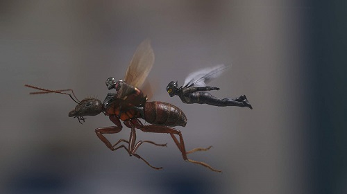 Ant-Man and the Wasp, courtesy Marvel Studios/Walt Disney Studios Motion Pictures.