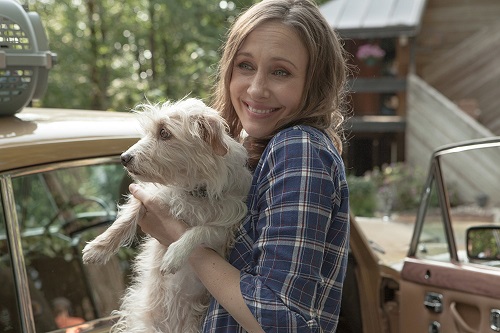 Boundaries, courtesy Sony Pictures Classics. Boundaries, courtesy Sony Pictures Classics.