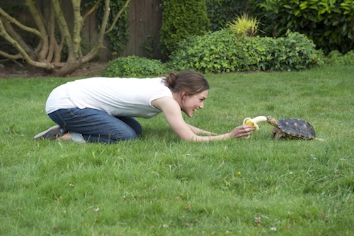 Laggies. 2014. A24. Laggies. 2014. A24.