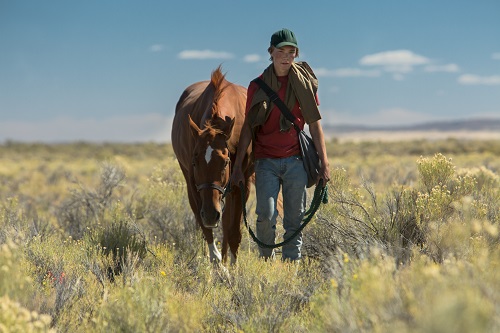 Charlie Plummer in Lean On Pete, photo by Scott Patrick Green, courtesy of A24.