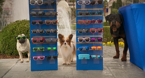 Sprinkles, voiced by Gabriel Iglesias, Philippe, voiced by Stanley Tucci, and Max, voiced by Chris 'Ludacris' Bridges, in SHOW DOGS. Photo credit: Courtesy of Global Road Entertainment / Distributor: Global Road Entertainment. Sprinkles, voiced by Gabriel Iglesias, Philippe, voiced by Stanley Tucci, and Max, voiced by Chris 'Ludacris' Bridges, in SHOW DOGS. Photo credit: Courtesy of Global Road Entertainment / Distributor: Global Road Entertainment.