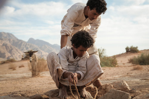 Theeb. All rights reserved.