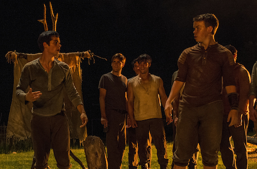 THE MAZE RUNNER Thomas (Dylan O'Brien, left) and Gally (Will Poulter, far right) devise an escape plan. Photo Credit: Ben Rothstein TM and © 2014 Twentieth Century Fox Film Corporation. All Rights Reserved. Not for sale or duplication. THE MAZE RUNNER Thomas (Dylan O'Brien, left) and Gally (Will Poulter, far right) devise an escape plan. Photo Credit: Ben Rothstein TM and © 2014 Twentieth Century Fox Film Corporation. All Rights Reserved. Not for sale or duplication.
