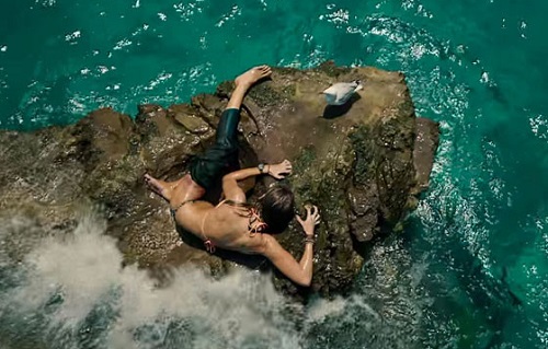 Nancy (Blake Lively) and Steven Seagull (Sully) in Columbia Pictures' THE SHALLOWS. Photo courtesy Sony Pictures Entertainment. Nancy (Blake Lively) and Steven Seagull (Sully) in Columbia Pictures' THE SHALLOWS. Photo courtesy Sony Pictures Entertainment.