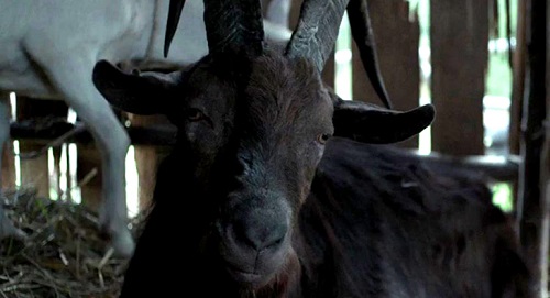 The Witch. Photo courtesy A24. The Witch. Photo courtesy A24.