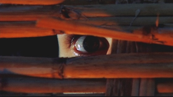 A Bay of Blood
