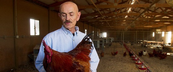 Eating Animals
