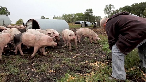 Eating Animals