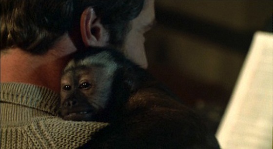 Monkey Shines