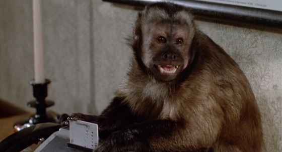 Monkey Shines