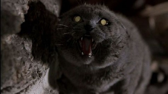 Pet Sematary