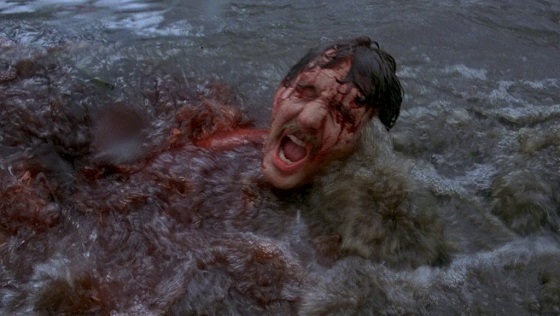 Piranha