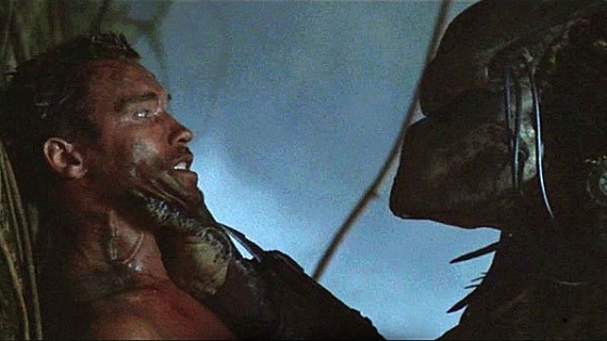 Predator