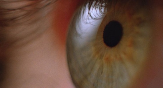 White of the Eye