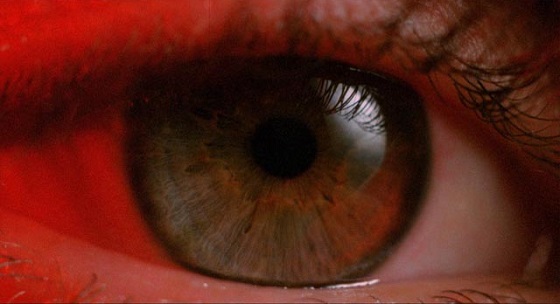 White of the Eye