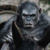 Toby Kebbell in Dawn of the Planet of the Apes (2014)