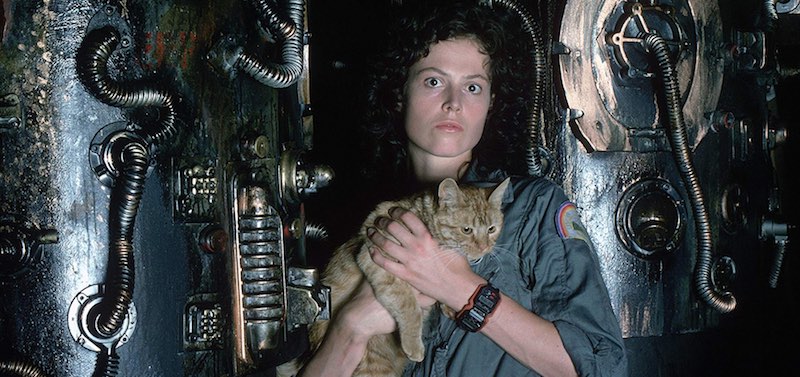 Sigourney Weaver and the cat in Alien (1979)