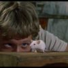 A scene from Willard.