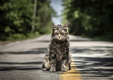 'Church' in PET SEMATARY, photo credit Kerry Hayes and courtesy Paramount Pictures 2018.