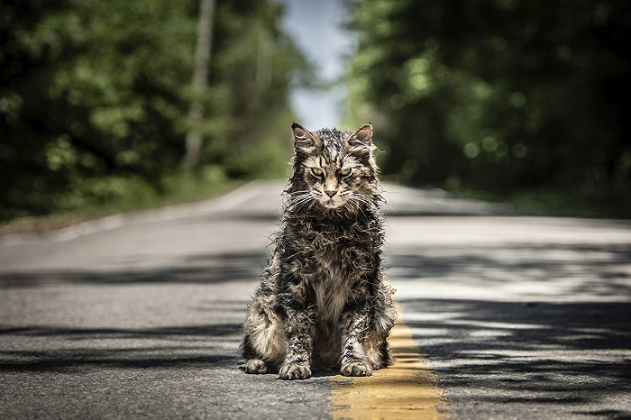 'Church' in PET SEMATARY, photo credit Kerry Hayes and courtesy Paramount Pictures 2018.