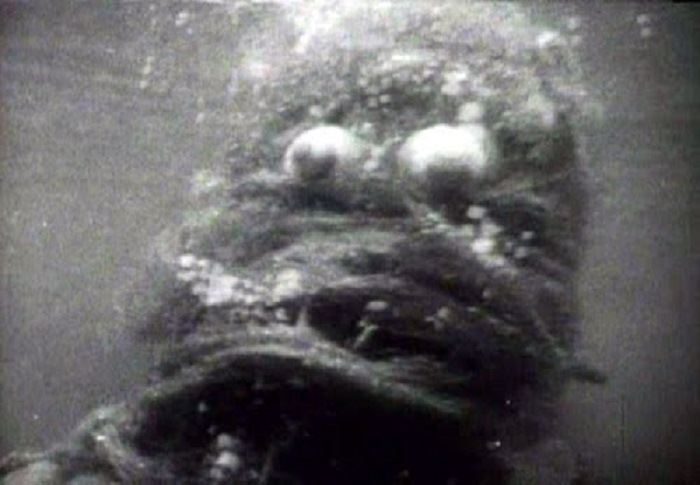 Creature from the Haunted Sea