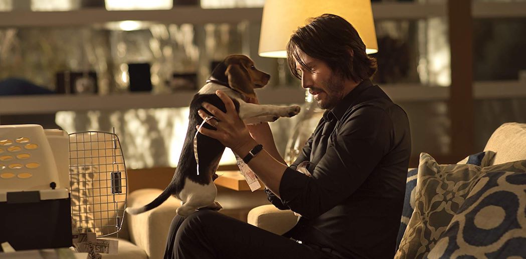 Keanu Reeves and Daisy in John Wick